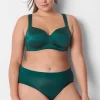 Hipster Panties^Lane Bryant Comfort Bliss Hipster Panty June Bug