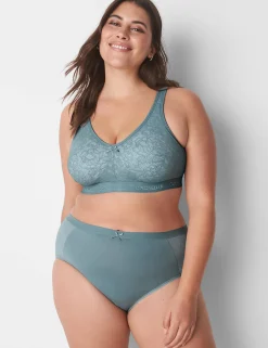 Brief Panties^Lane Bryant Cotton Full Brief Panty With Lace Trim Lead