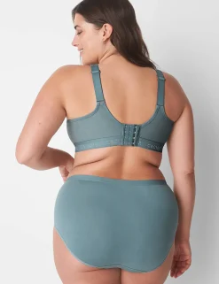 Brief Panties^Lane Bryant Cotton Full Brief Panty With Lace Trim Lead
