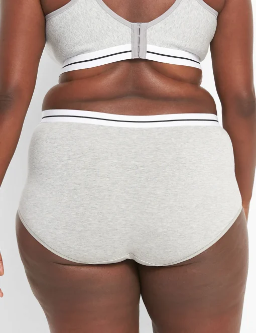 Brief Panties^Lane Bryant Cotton Full Brief Panty With Wide Waistband Light Grey