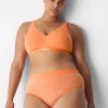Brief Panties^Lane Bryant Cotton High-Leg Brief Panty With Wide Waistband Heather Orange