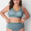 Brief Panties^Lane Bryant Cotton High-Leg Brief Panty With Wide Waistband Lead