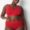 Brief Panties^Lane Bryant Cotton High-Leg Brief Panty With Lace Waist Adrenaline Rush