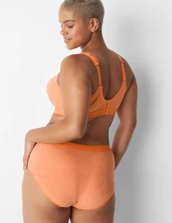 Brief Panties^Lane Bryant Cotton High-Leg Brief Panty With Wide Waistband Heather Orange