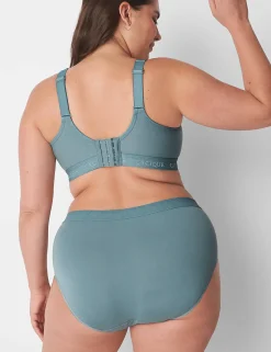 Brief Panties^Lane Bryant Cotton High-Leg Brief Panty With Wide Waistband Lead