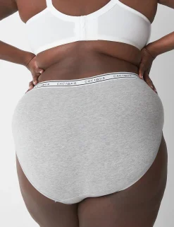 Brief Panties^Lane Bryant Cotton High-Leg Brief Panty With Wide Waistband Grey
