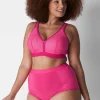 Brief Panties^Lane Bryant Cotton High-Waist Brief Panty With Lace Trim Pink Yarrow