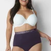 Brief Panties^Lane Bryant Cotton High-Waist Brief Panty With Wide Waistband Nightshade
