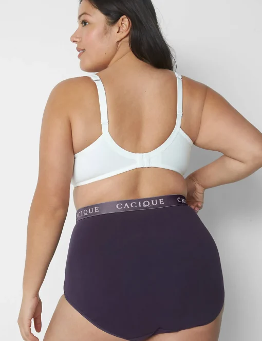 Brief Panties^Lane Bryant Cotton High-Waist Brief Panty With Wide Waistband Nightshade
