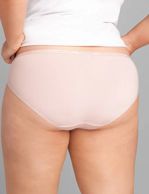 Hipster Panties^Lane Bryant Cotton Hipster Panty Parisian Pink
