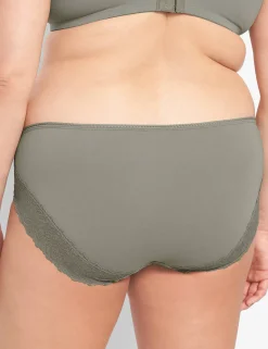 Hipster Panties^Lane Bryant Cotton Hipster Panty With Lace-Trimmed Back Vetiver