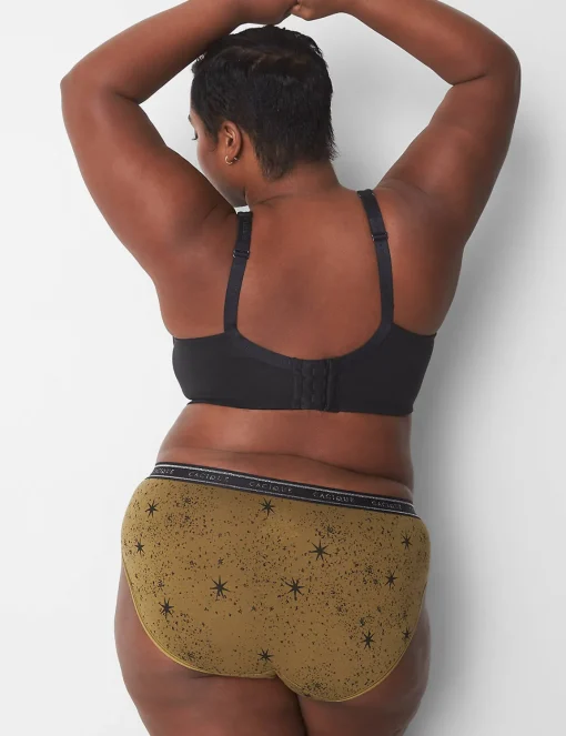 Hipster Panties^Lane Bryant Cotton Hipster Panty With Wide Waistband Galaxy Nutria