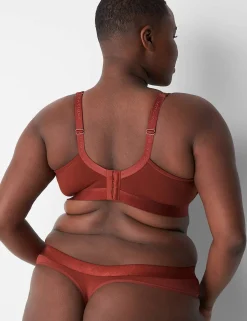 Thong Panties^Lane Bryant Cotton Thong Panty With Wide Waistband Brandy