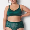 Brief Panties^Lane Bryant Extra Soft Full Brief Panty June Bug Lace