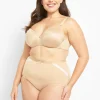 Brief Panties^Lane Bryant Extra Soft High-Waist Brief Panty Cafe