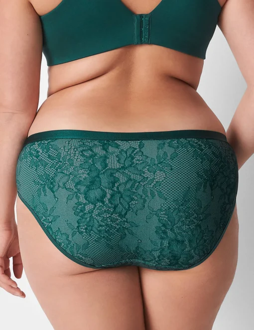 Hipster Panties^Lane Bryant Extra Soft Hipster Panty June Bug Lace