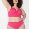 Cheeky Panties^Lane Bryant High-Leg Cheeky Panty Pink Yarrow