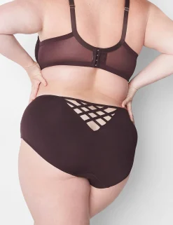 Sexy Panties^Lane Bryant Lace Hipster Panty Chocolate Plum
