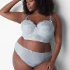 Sexy Panties^Lane Bryant Metallic Lace High-Leg Panty Gray Dawn
