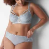 Cheeky Panties^Lane Bryant Metallic Lace-Back Cheeky Panty Gray Dawn
