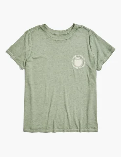 Knit Tops^Lane Bryant Modern Teacher Apple Graphic Tee Hedge Green