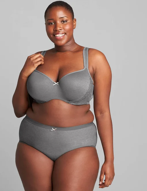 Brief Panties^Lane Bryant No-Show Full Brief Panty Quiet Shade