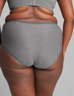 Brief Panties^Lane Bryant No-Show Full Brief Panty Quiet Shade
