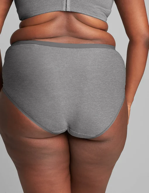 Brief Panties^Lane Bryant No-Show Full Brief Panty Quiet Shade