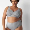 Brief Panties^Lane Bryant No-Show Full Brief Panty With Lace Alloy
