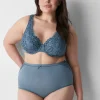 Brief Panties^Lane Bryant No-Show High-Waist Brief Panty With Lace Flint Stone