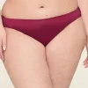 Brief Panties^Lane Bryant Slick Chicks Adaptive High-Cut Brief Panty Plum