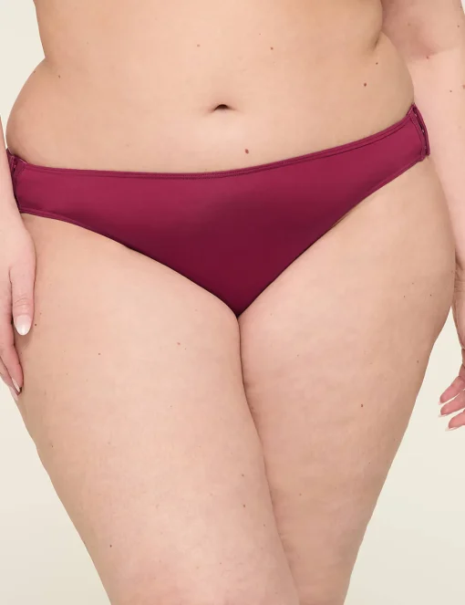Brief Panties^Lane Bryant Slick Chicks Adaptive High-Cut Brief Panty Plum