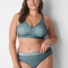 Cheeky Panties^Lane Bryant Stretch Lace Cheeky Panty Lead