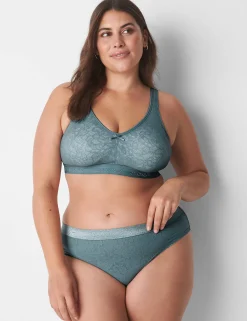 Cheeky Panties^Lane Bryant Stretch Lace Cheeky Panty Lead