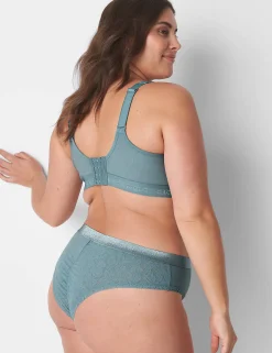 Cheeky Panties^Lane Bryant Stretch Lace Cheeky Panty Lead