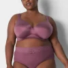 Brief Panties^Lane Bryant Stretch Lace High Leg Brief Panty Tulipwood