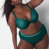 Brief Panties^Lane Bryant Stretch Lace High Leg Brief Panty June Bug