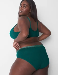 Hipster Panties^Lane Bryant Stretch Lace Hipster Panty June Bug