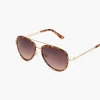 Sunglasses^Lane Bryant Tort Outlined Avaitor With Brown Le Natural Tortoise