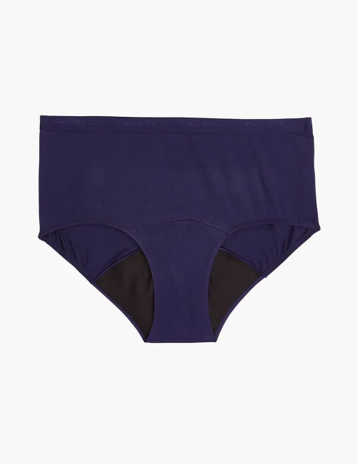 Brief Panties^Lane Bryant Total Confidence Full Brief Panty Maritime Blue