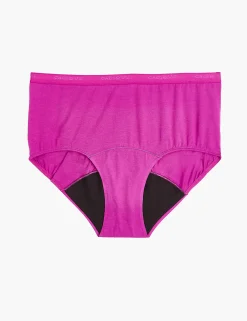 Brief Panties^Lane Bryant Total Confidence Full Brief Panty Purple Wine