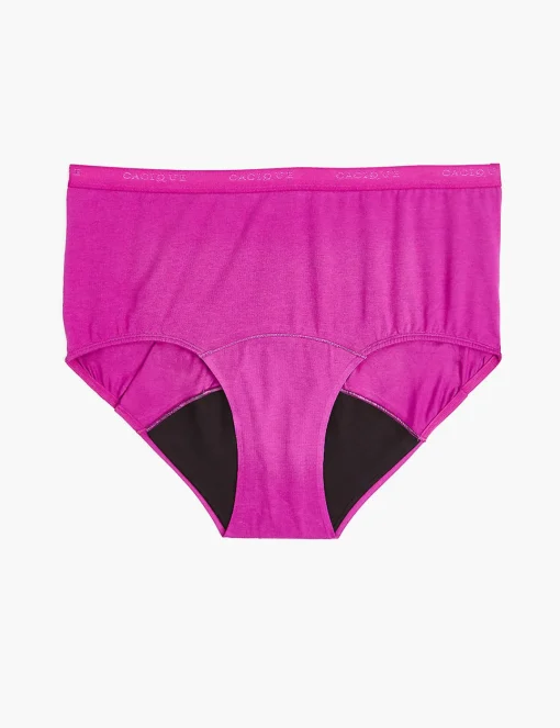 Brief Panties^Lane Bryant Total Confidence Full Brief Panty Purple Wine
