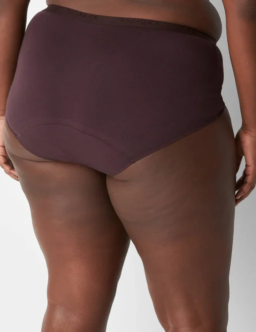 Brief Panties^Lane Bryant Total Confidence Full Brief Panty Chocolate Plum
