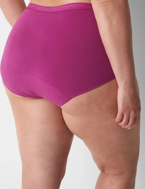 Brief Panties^Lane Bryant Total Confidence Full Brief Panty Purple Wine