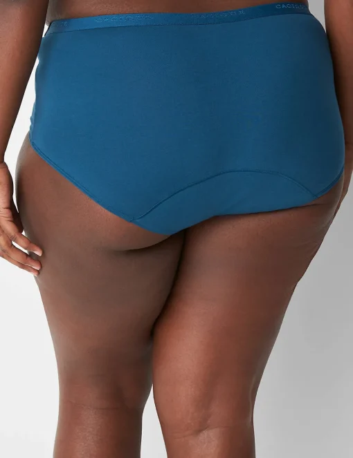 Brief Panties^Lane Bryant Total Confidence Full Brief Panty Legion Blue